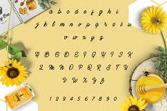 Honey Bee Product Image 2
