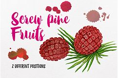 watercolor fruit vol.7 Product Image 10