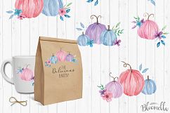 Pumpkin Huge Kit Pink Blue Watercolor Clipart Fall Package Product Image 9