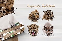 Leopard PNG watercolor set Product Image 6