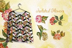 Gortenzia PNG watercolor flower set Product Image 2