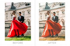 Royal Wedding Pro Photoshop Actions Product Image 5
