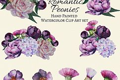 Romantic Peonies Hand Painted Clip Art Set Product Image 3