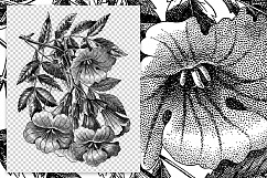 Trumpet Flowers - Vintage Florals Product Image 2