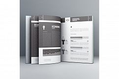 Professional Startup Plan Template US Letter Product Image 2
