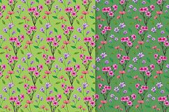 Drawn Flower Patterns and Elements Product Image 10