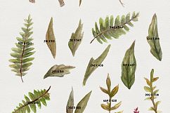 Natural Decay Watercolor Illustrations Product Image 2