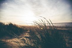 44 Fresh Morning Lightroom Presets Product Image 10