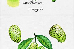 Watercolor Fruits Vol. 4 Product Image 6