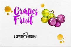 Watercolor Fruits Vol. 4 Product Image 11