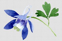 Flowers set PNG watercolor   Product Image 3