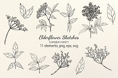 Elderflower Collection, png, svg, eps, label and stickers, watercolor elderflowers Product Image 2