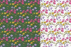 Drawn Flower Patterns and Elements Product Image 5