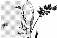 Wildflower - Vintage Florals Product Image 2