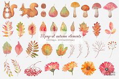 Autumn watercolor collection Product Image 2