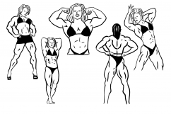 Female Bodybuilder and Fitness Line Drawings Series 2 Product Image 5