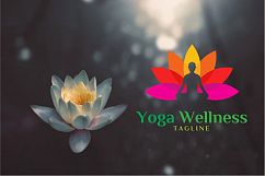 200 Premium Logo Template Bundle - Bonus 1900 Vector 8 Font Product Image 14