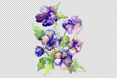 Watercolor bouquet of purple viola PNG set Product Image 1