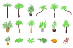 Palm tree icons set, isometric style Product Image 1
