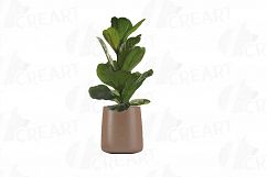 Leafy plants clip art collection, Watercolor plants in pot Product Image 8