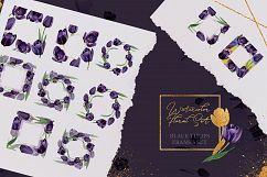 Wonderful black tulips PNG watercolor flower set Product Image 8