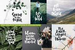 Spring! Letterings+graphics+patterns Product Image 7