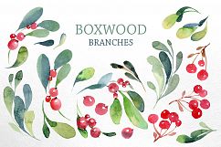 Watercolor branches and berries Product Image 2