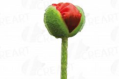 Watercolor Red Poppy flower and leaf clip art pack, Poppies clip art. PNG, jpg, svg, vector illustrator &amp; corel files included Product Image 3