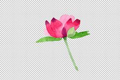Crimson Peonies PNG watercolor set Product Image 9