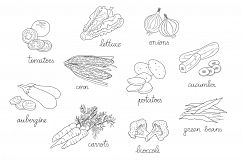 Vegetables Illustration vector pack Product Image 3