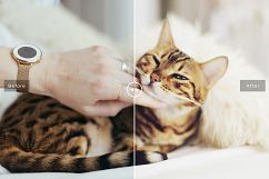 Pet Photoshop Actions Collection Product Image 2