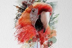 Watercolor effect-03 Product Image 1