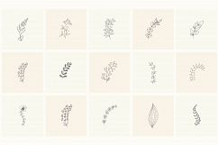 165 Hand Drawn Floral Elements, Frames. Product Image 12