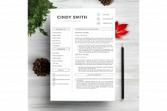 Professional Resume Template CV Product Image 2