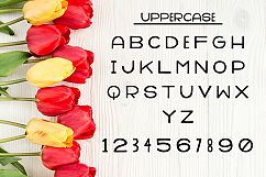 Breezy Picnic Alphabet SVG Cut Files Product Image 2