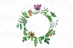 Herbs and Spices frames watercolor clip art pack, watercolor herb leaves borders. PNG, jpg, svg, vector illustrator &amp; corel files included Product Image 11