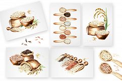 Rice. Watercolor collection Product Image 4