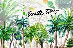 watercolor exotic trees Product Image 1