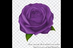 100 Luxury Rose Clip Arts, Wedding, Mother Day, Valentine Product Image 4