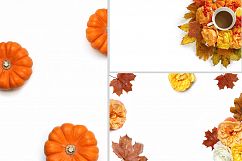 Autumn roses flat lay stock photos Product Image 4