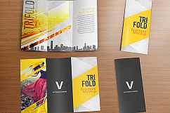 Realistic Trifold Brochure Mockups Product Image 5
