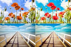 Summer Lr Presets Product Image 6