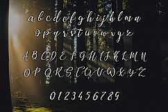 Shadows Product Image 2