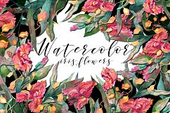 Watercolor iris flowers set. Product Image 1