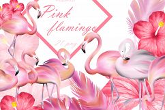 Pink flamingo clipart Product Image 1