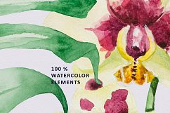 Tropical set Product Image 12