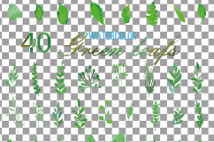 Green leaves and branches watercolor clip art pack, hand painted leafs collection. PNG, jpg, svg, vector illustrator &amp; corel files included Product Image 12