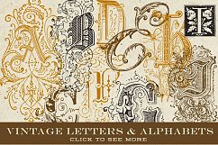 Vintage Vector Letters &amp; Monograms Product Image 1