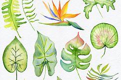 Tropical leaves Watercolor clipart Product Image 3