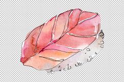 Watercolor sushi PNG watercolor set Product Image 7